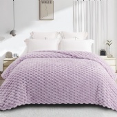 Ultra Soft Fleece Blanket Queen Size