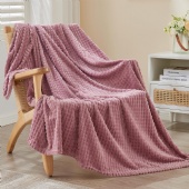 Cozy Soft Lightweight Fuzzy Throw Blanket