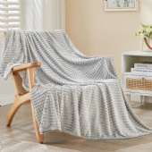 Cozy Soft Lightweight Fuzzy Throw Blanket
