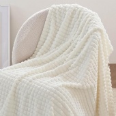 Cozy Soft Lightweight Fuzzy Throw Blanket