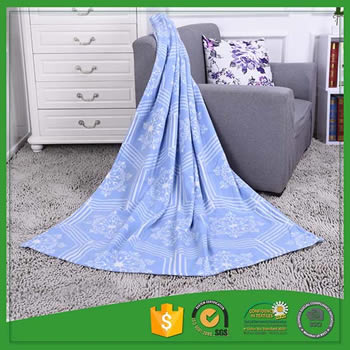 Hot selling 100%polyester raschel travel blanket